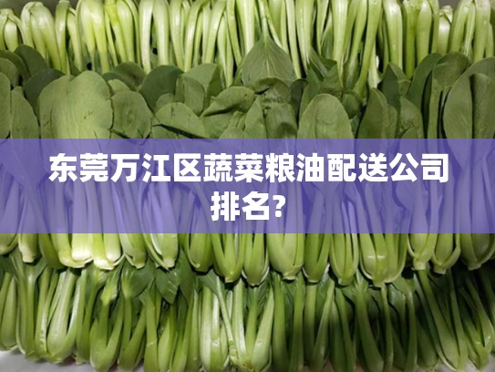 东莞万江区蔬菜粮油配送公司排名?