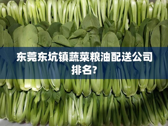 东莞东坑镇蔬菜粮油配送公司排名?