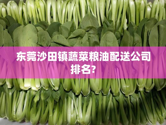 东莞沙田镇蔬菜粮油配送公司排名?