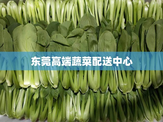 东莞高端蔬菜配送中心