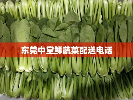 东莞中堂鲜蔬菜配送电话