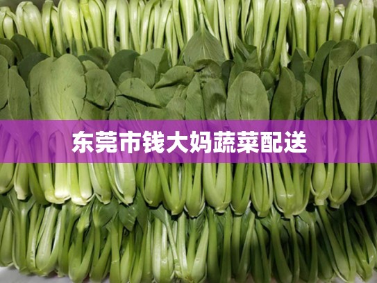 东莞市钱大妈蔬菜配送