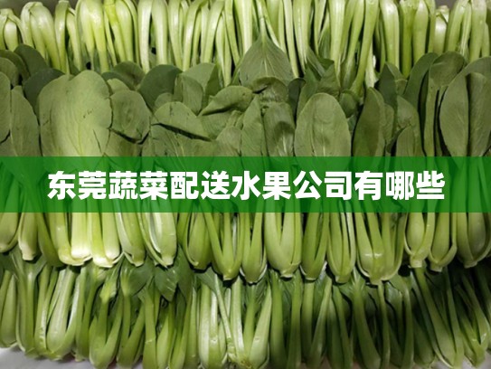 东莞蔬菜配送水果公司有哪些