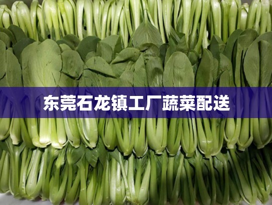 东莞石龙镇工厂蔬菜配送
