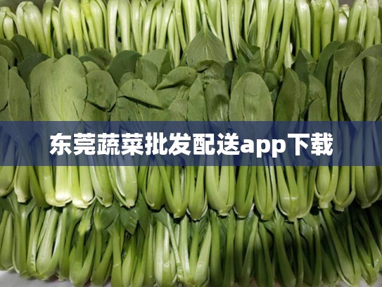 东莞蔬菜批发配送app下载