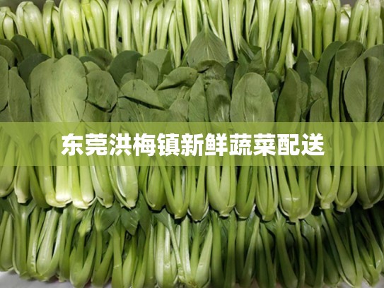 东莞洪梅镇新鲜蔬菜配送