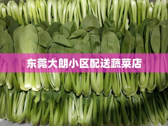 东莞大朗小区配送蔬菜店
