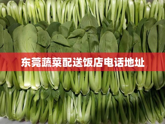 东莞蔬菜配送饭店电话地址