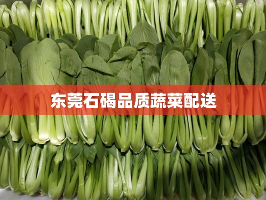东莞石碣品质蔬菜配送