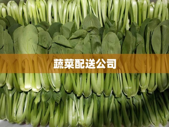 蔬菜配送公司