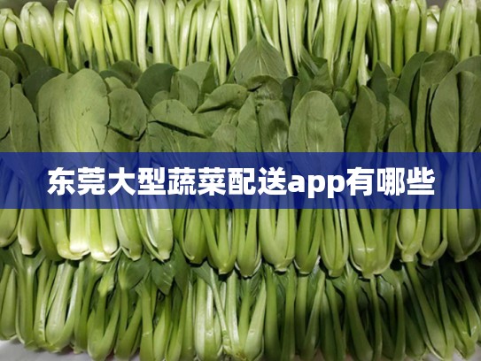 东莞大型蔬菜配送app有哪些
