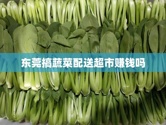 东莞搞蔬菜配送超市赚钱吗