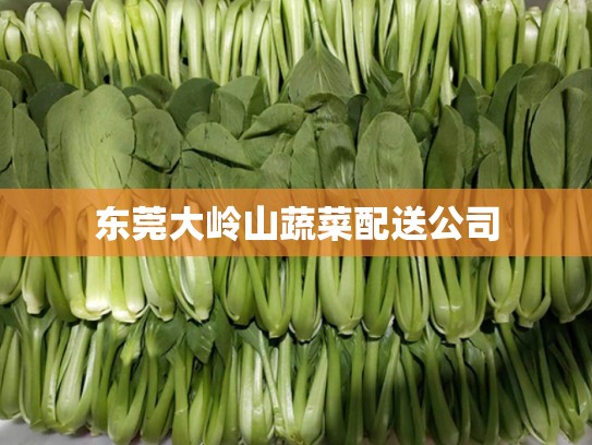 东莞大岭山蔬菜配送公司