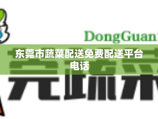 东莞市蔬菜配送免费配送平台电话