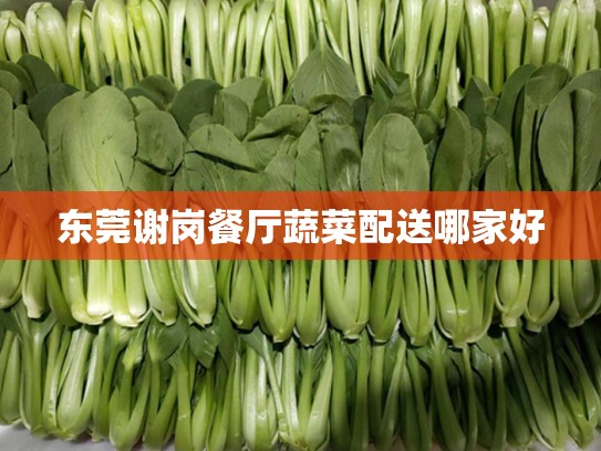 东莞谢岗餐厅蔬菜配送哪家好