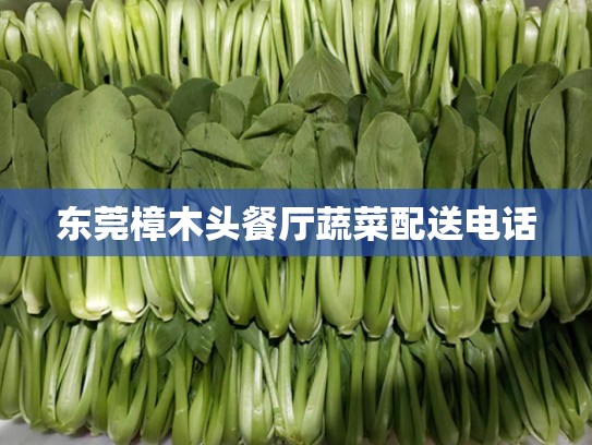 东莞樟木头餐厅蔬菜配送电话