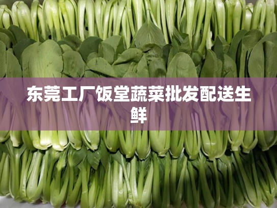 东莞工厂饭堂蔬菜批发配送生鲜