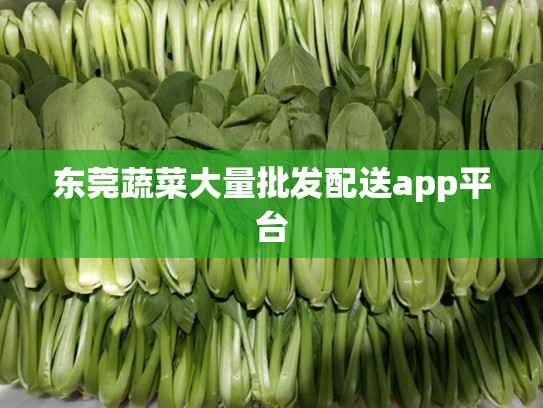 东莞蔬菜大量批发配送app平台
