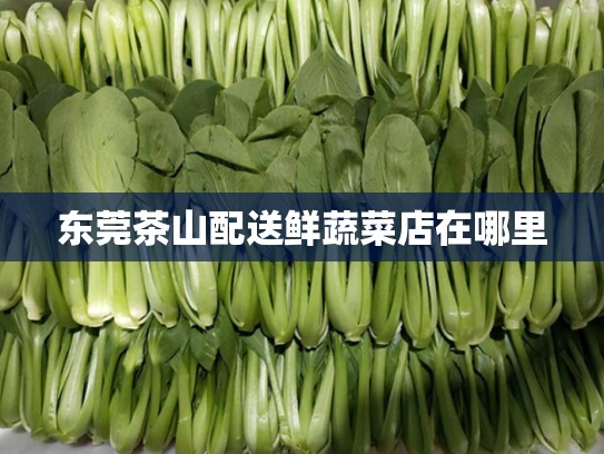 东莞茶山配送鲜蔬菜店在哪里