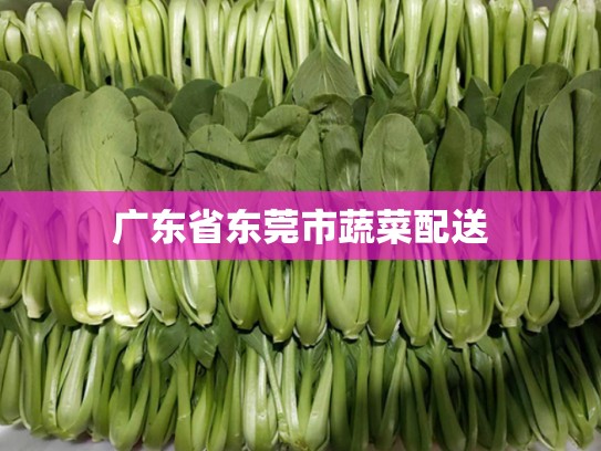 广东省东莞市蔬菜配送