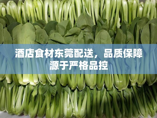 酒店食材东莞配送，品质保障源于严格品控