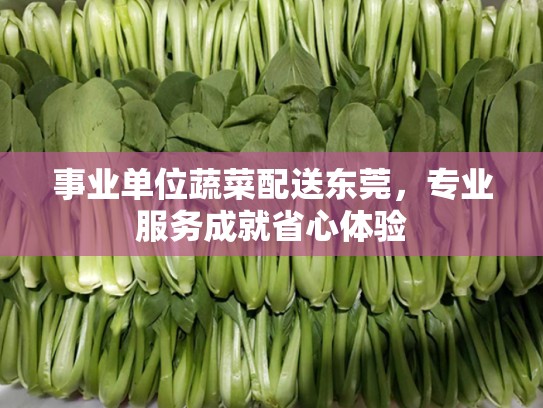 事业单位蔬菜配送东莞，专业服务成就省心体验