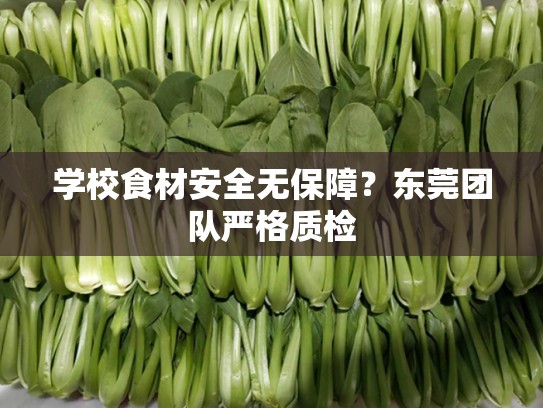 学校食材安全无保障？东莞团队严格质检