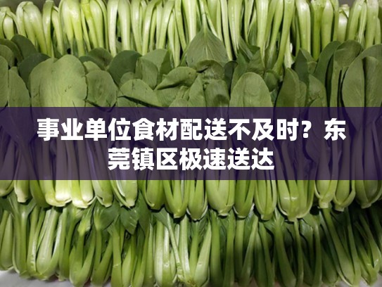 事业单位食材配送不及时？东莞镇区极速送达