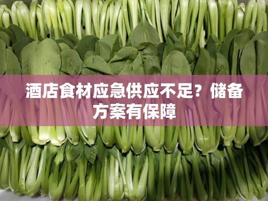 酒店食材应急供应不足？储备方案有保障