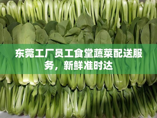 东莞工厂员工食堂蔬菜配送服务，新鲜准时达