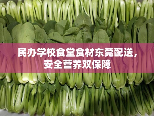 民办学校食堂食材东莞配送，安全营养双保障