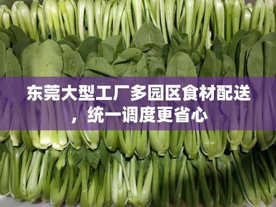 东莞大型工厂多园区食材配送，统一调度更省心