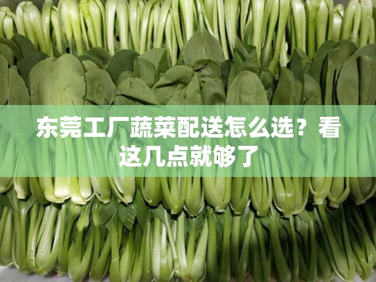 东莞工厂蔬菜配送怎么选？看这几点就够了