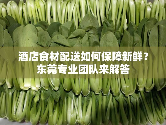 酒店食材配送如何保障新鲜？东莞专业团队来解答