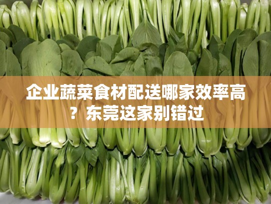 企业蔬菜食材配送哪家效率高？东莞这家别错过