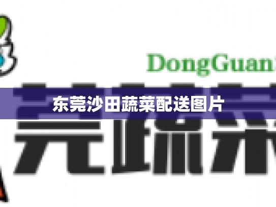 东莞沙田蔬菜配送图片