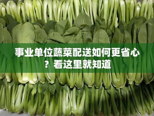 事业单位蔬菜配送如何更省心？看这里就知道