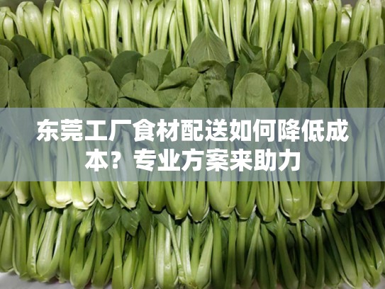 东莞工厂食材配送如何降低成本？专业方案来助力
