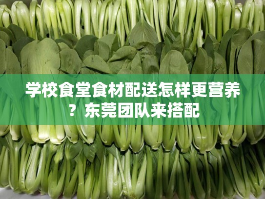 学校食堂食材配送怎样更营养？东莞团队来搭配