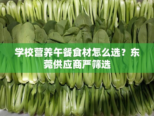 学校营养午餐食材怎么选？东莞供应商严筛选