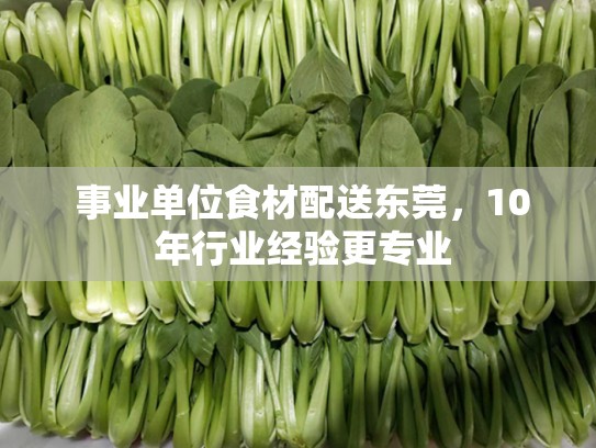  事业单位食材配送东莞，10 年行业经验更专业
