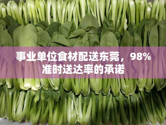 事业单位食材配送东莞，98%准时送达率的承诺
