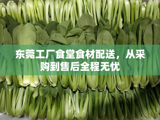 东莞工厂食堂食材配送，从采购到售后全程无忧