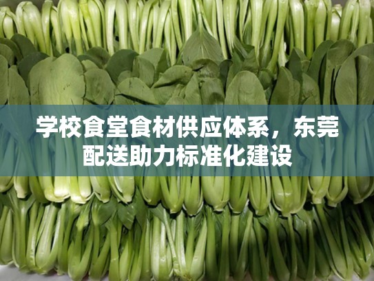 学校食堂食材供应体系，东莞配送助力标准化建设