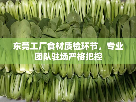 东莞工厂食材质检环节，专业团队驻场严格把控