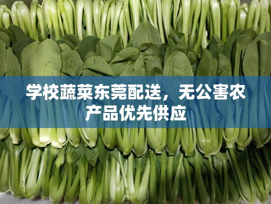 学校蔬菜东莞配送，无公害农产品优先供应