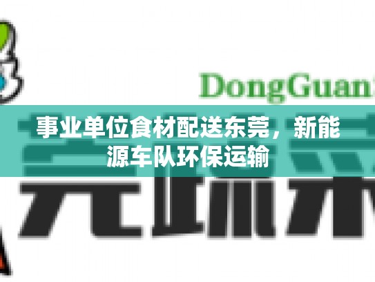 事业单位食材配送东莞，新能源车队环保运输