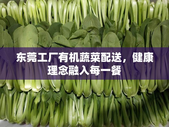 东莞工厂有机蔬菜配送，健康理念融入每一餐