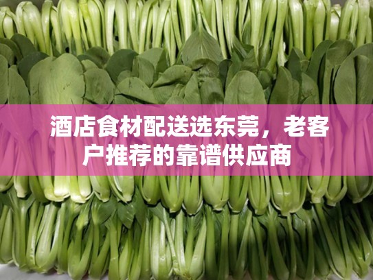  酒店食材配送选东莞，老客户推荐的靠谱供应商
