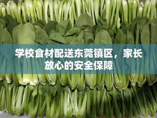 学校食材配送东莞镇区，家长放心的安全保障